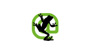 Posicionamiento Web Cáceres screaming frog logotipo - Posicionamiento Web Cáceres