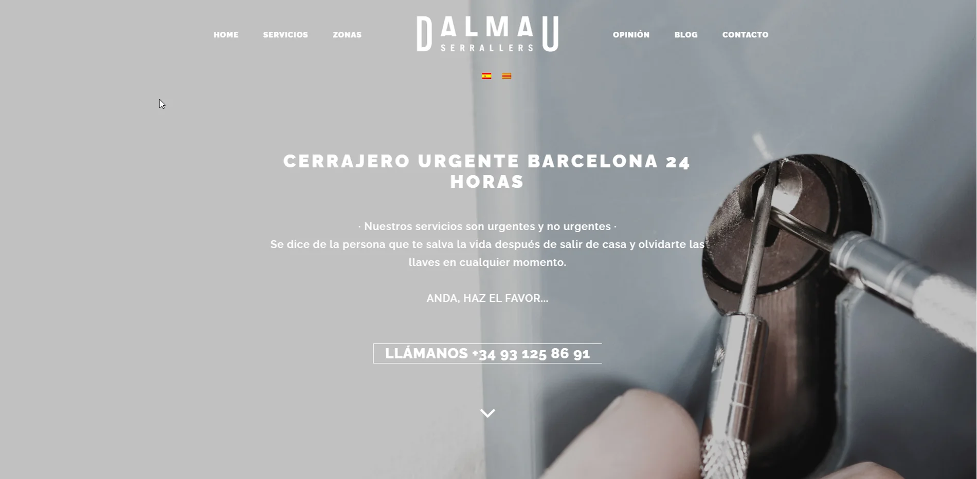 Posicionamiento Web Cáceres web dalmau - Posicionamiento Web Cáceres